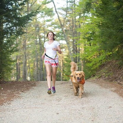 Kurgo Quantum Leash 2.0 - Versatile for Running or Walking - 6 in 1 Dog Leash - Hands-Free Dog Leash - Adjustable - Strong & Durable - Black/Orange