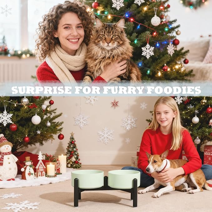 Ceramic Elevated Dog Bowl Set - Dog Feeder Station with Cute-Style Double Bowls for Small and Medium Size Breed - Non-Slip Raised Dish for Food and Water Feeding- 6 Inch - 3.5 Cups / 20 fl oz - Khaki
