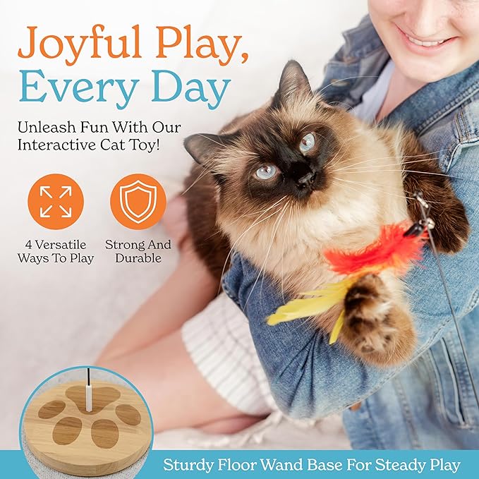 2 Cat Toy + 9 Feather Lures Interactive Cat Toys For Indoor Cats Interactive Kiteen Toys Enrichments For Boared Indoor Adult Cats Kittens Suction Cup Juguetes Para Gatos Teaser Feather Wand