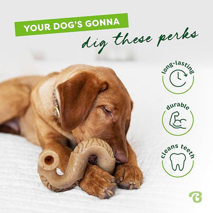 Benebone Tripe Bone Durable Dog Chew Toy for Aggressive Chewers, Real Tripe, Made in USA, Large