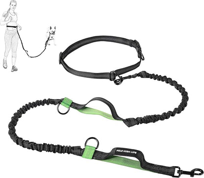Mile High Life Hands Free Waist Leash for Dog Running Training and Jogging, Adjustable Belt with Double Handle, Reflective Bungee for Medium Large Dogs (Green, 7FT)