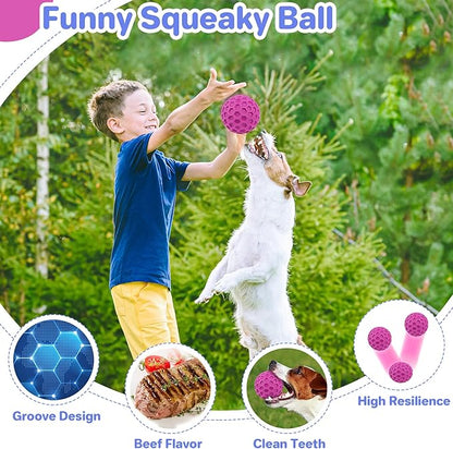 Tough Squeaky Dog Balls Puppy Toys, Interactive Dog Toys for Small Dogs, Puppy Chew Toys for Teething and Relax, Dogs Chew Toy Small Balls Dog Toys for Small Breed, Outdoor Dog Toy for Dogs