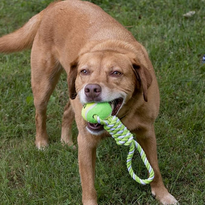 2-Piece Dog Training Toy, Cotton Rope, Tug Ball, Tough Non-Toxic Dog Toys for Big & Small Dogs