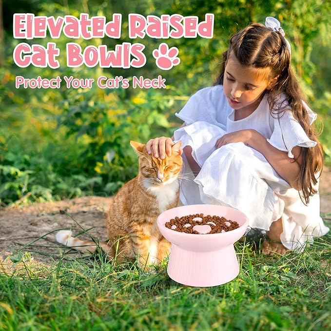 Tioncy 2 Pcs Raised Cat Slow Feeder Bowl Ceramic Elevated Cat Dog Food Bowl No Spill High Edge for Dry Wet Food and Water Easy to Clean, Dishwasher Safe (Pink,Dark Green)