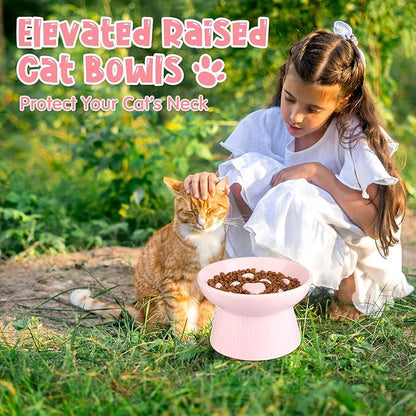 Tioncy 2 Pcs Raised Cat Slow Feeder Bowl Ceramic Elevated Cat Dog Food Bowl No Spill High Edge for Dry Wet Food and Water Easy to Clean, Dishwasher Safe (Pink,Dark Green)