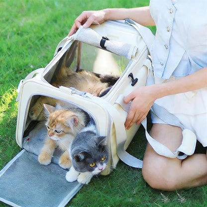 Pet Carrier Bag for Cats & Small Dogs, Airline Approved Travel Cat Carrier with Mesh Windows, Shoulder Strap & Removable Mat, Foldable Design for Home & Outdoor Trips (Grey)