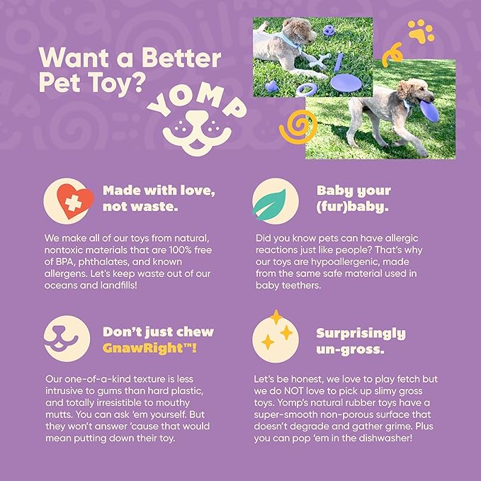 Yomp FetchFlyer MAX Dog Frisbee – Interactive Flying Disc Toy for Soft and Medium Chewers – Outdoor Fetch Toy for Dogs – Made from Pet-Safe, Non-Toxic, All-Natural Rubber