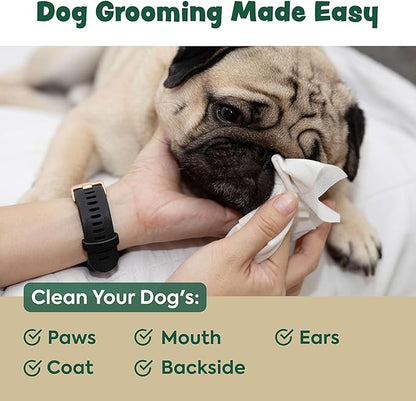 Bark & Clean Dog Wipes for Paws and Butt, 50 Count Large 8.5" x 9" Hypoallergenic Bamboo Pet Wipes Compostable Puppy Wipes with Lavender for Dogs Body Face - Deodorizing Grooming Wipes