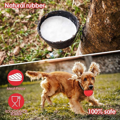 petizer 4" Squeaky Dog Balls for Aggressive Chewers, Durable Interactive Dog Chew Toys for Teething, Floatable Indestructible Rubber Spiky Ball, Tough Pet Toys for Small, Medium & Large Breeds