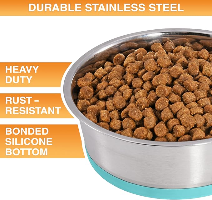 Neater Pet Brands Stainless Steel Dog Bowls with Non-Slip Rubber Bottom – 3 Cup (24 oz), Teal - Set of 2 Heavy Duty Metal Dog Bowls, Dishwasher Safe, Food or Water Bowl, Ideal for Small to Medium Dogs