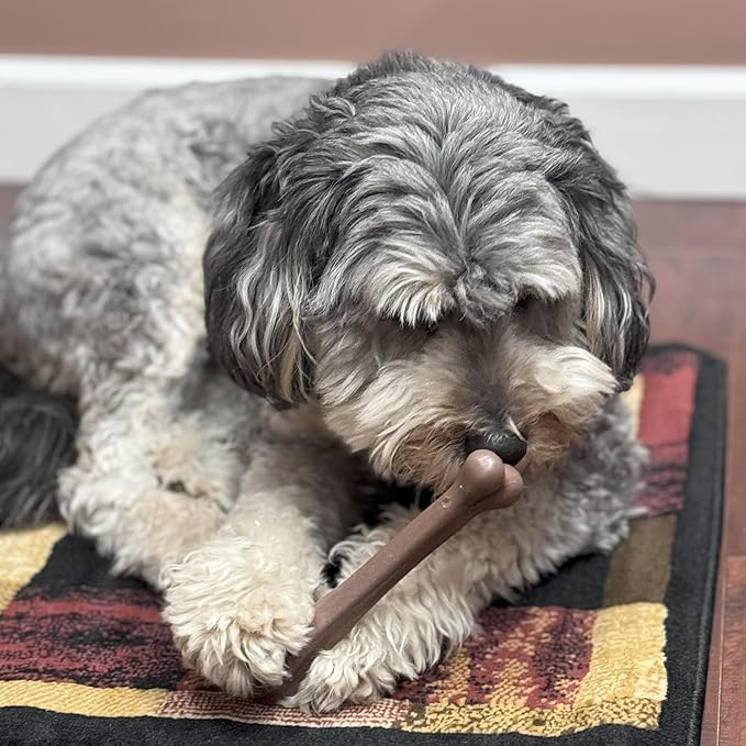 SPOT Bam-Bones Bone - Made with Strong Bamboo Fiber, Durable Long Lasting Dog Chew for Light to Moderate Chewers, Great Toy for Adult Dogs & Teething Puppies under 40lbs, 7.25in, Bacon Flavor