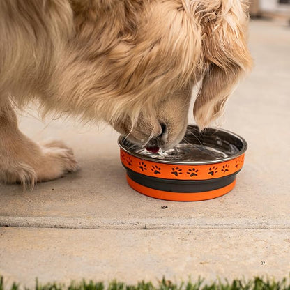 Loving Pets Corsa Dog Bowls- Stainless Steel Dog & Cat Bowls - Spill Proof Dog Food Bowl, Cat Bowl, Puppy Essentials & Pet Supplies Great for Home & Travel (Medium 20-35 lbs, Inferno Orange)