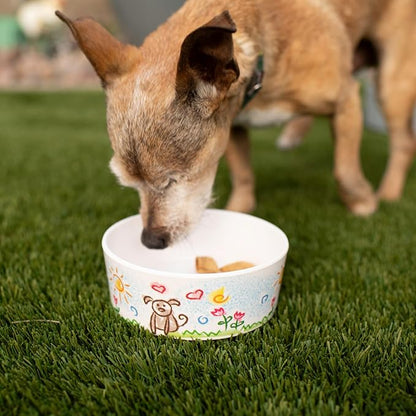 Loving Pets Dolce Moderno Ceramic Look Dog Bowl – Modern Melamine Dog Food Bowl & Dog Water Bowl – Durable, Non-Slip Pet Dish for Small & Medium Dogs – Dishwasher Safe Dog Bowl (Small, 16 oz)