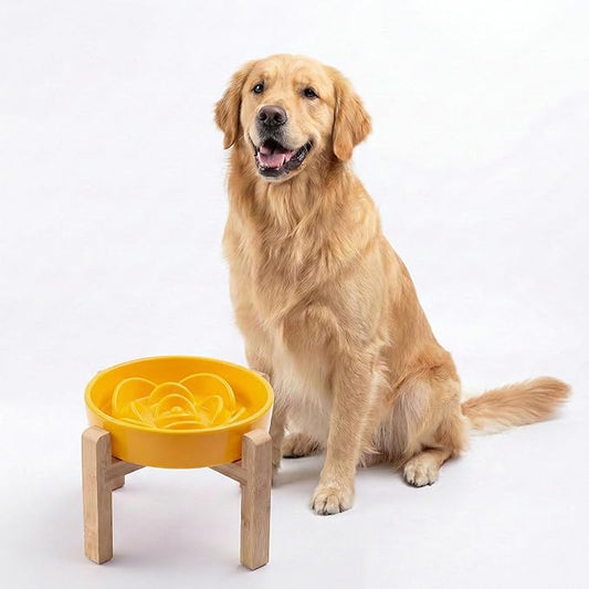Petygooing 8.66 in Dog Bowl Ceramic Slow Feeder for Medium Large Dogs,Elevated/Raised Slow Feeding Dog Food Water Dish Heavy Weighted,Puzzle Eating Bowl Modern Maze (Yellow, 8.66in)