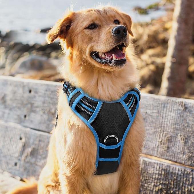 rabbitgoo Dog Harness for Large Dogs, No Pull Pet Vest with 3 Buckles, Adjustable Soft Padded Pet Harness with Easy Control Handle and Reflective Strips, Black & Sky Blue, XL