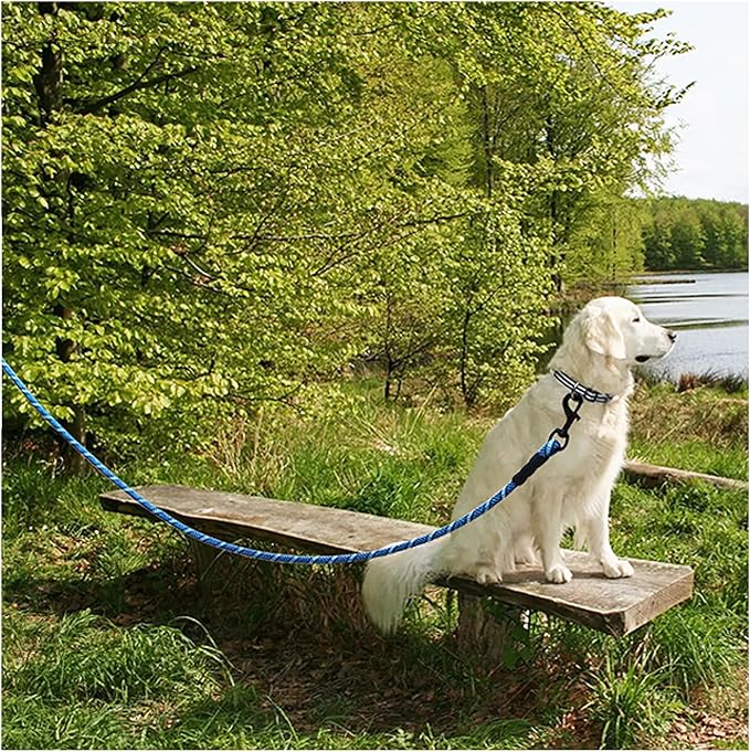 MayPaw Heavy Duty Rope Dog Leash, 3/6/8/10/12/15/20/30 FT Long Dog Lead Nylon Pet Leash, Soft Padded Handle Thick Lead Training Leashes for Large Medium Dogs (15ft * 1/2", Blue Black)