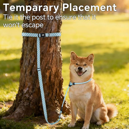 QQPETS Adjustable Slip Lead Dog Leash, Hands Free Waist Leash for Dog Walking, Reflective Training Lead with 360° Swivel Anti-Tangle, 4-7 ft Length for All Breeds