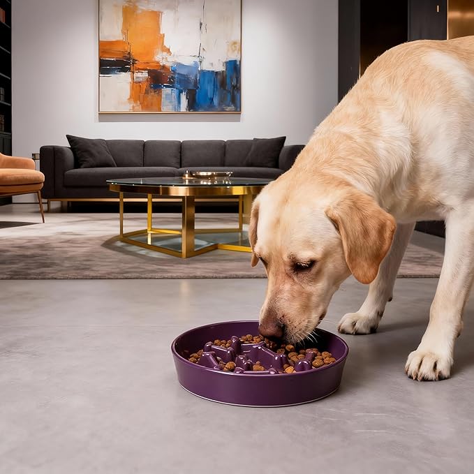 Ceramic Slow Feeder Dog Bowls, Ceramic Slow Feeder Maze Dog Food Bowl, Slow Eating Dog Bowl and Slow Feeder Dog Bowl Anti-Choking for Daily Pet Feeding （Purple Bone）