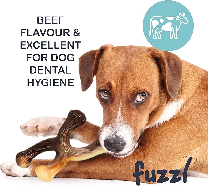 Ultra Tough Nylon Dog Chew Toy - Crossbone and Bone Beef Flavour for Extreme Chewers - Long Lasting Bone for Aggressive Chewers - Strong Puppy Toys