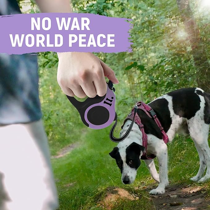 Retractable Dog Leash Automatic Telescopic Tractor Dog Tape, Pet Tape 10/16 FT Durable and Convenient, with Folding Bowl, Dispenser, Rubbish Bags, Suitable for Small and Medium Dogs