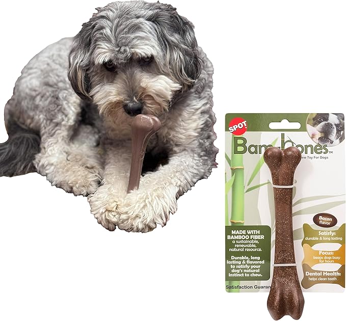 SPOT Bam-Bones Bone - Made with Strong Bamboo Fiber, Durable Long Lasting Dog Chew for Light to Moderate Chewers, Great Toy for Adult Dogs & Teething Puppies under 40lbs, 7.25in, Bacon Flavor