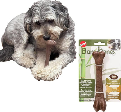 SPOT Bam-Bones Bone - Made with Strong Bamboo Fiber, Durable Long Lasting Dog Chew for Light to Moderate Chewers, Great Toy for Adult Dogs & Teething Puppies under 40lbs, 7.25in, Bacon Flavor