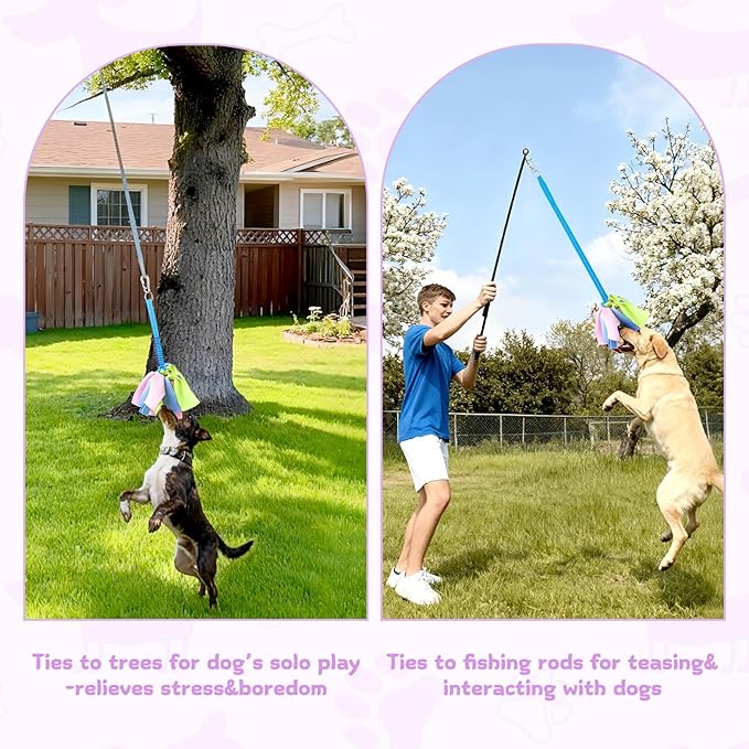 Dog Tug Toy, Bungee Dog Rope Toys, Interactive Tug of War Rope Toys for Training and Playing Games, Puppy Training Pull Toy for Small Medium Dogs