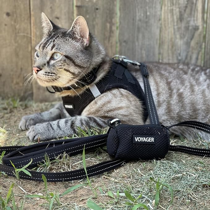 Best Pet Supplies - All Weather Mesh / Plush, Reflective, No Pull Harness for Small, Medium Dogs, Cats - Secure with Hook & Loop Fastener, Buckle, Double D-Rings - Black/Black Trim, L