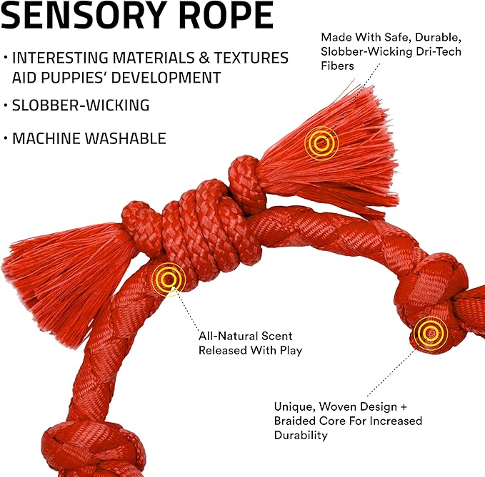 Playology Dog Toys | Puppy Toy Sensory Rope Tug of War Rope for Dogs and Puppies | Small Beef Scented Dog Toy - Easy to Clean and Made from Non Toxic Materials