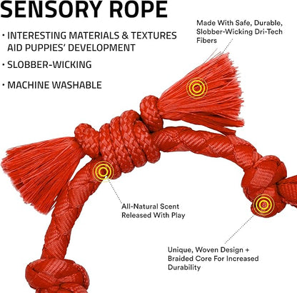 Playology Dog Toys | Puppy Toy Sensory Rope Tug of War Rope for Dogs and Puppies | Small Beef Scented Dog Toy - Easy to Clean and Made from Non Toxic Materials