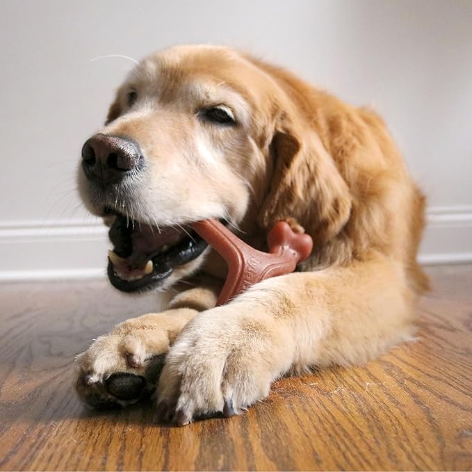 Nylabone Strong Chew Wishbone Dog Toy Made with Real Bacon, Durable Chew Toys for Aggressive Chewers, Long Lasting Dog Bone, Keeps Dogs Busy, Large Breeds - Up to 50 lbs