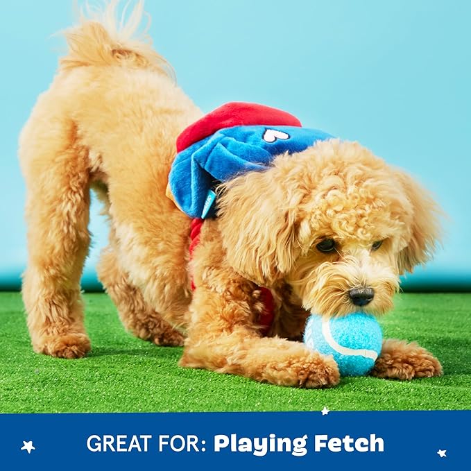Barkbox 2 in 1 Interactive Plush Dog Toy - Rip and Reveal Toy for Dogs and Puppies - Stimulating Squeaky Pet Toys | Janspup Backpack (Small)