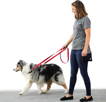 Blue-9 Multi-Function Hands Free Dog Leash, Double Attachment 6 Foot Adjustable Lead for Obedience, Running, and Agility Training, Made in The USA, Hot Pink, Small/Medium