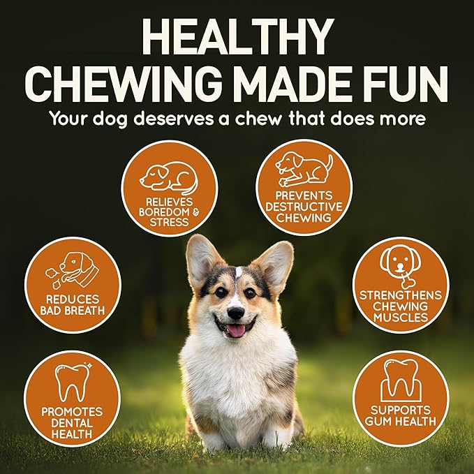 Wildfang® Olive Wood Chewing Sticks for Dogs, Large - Tough Chew Toys for Aggressive Chewers, Puppy Chew Toys for Teething, Training for Chewing Muscles, Olive Wood Stick for Dog (Over 55lbs), 3pack