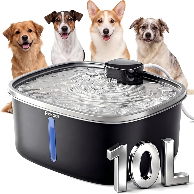 Water Fountain for Dogs Indoor Homes Stainless Steel 10L/2.64GAL Plug in Plastic Reservoir Stainless Steel Water Bowl Filtered Multi-Pet Quiet Large Black Plug-in &1Filter