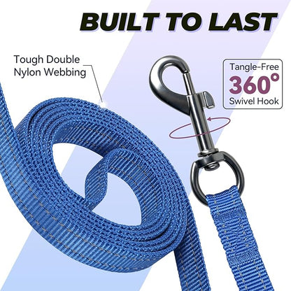 VIVAGLORY Dog Leash Twingrip Double Handle Dog Leash with Traffic Handle Control & 2 Loop for Walking & Training, Reflective Heavy Duty for Puppy Pet Collar, 5ft x 1/2in, Blue