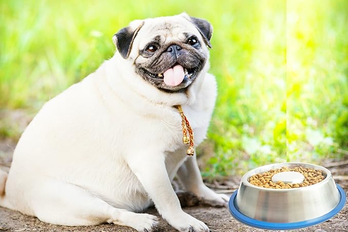 Mr. Peanut's Stainless Steel Interactive Slow Feed Dog Bowl with a Blue Silicone Base, Fun Healthy Bloat Stop Feeder (Medium)