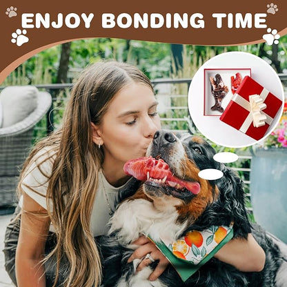 Tough Dog Toys for Aggressive Chewers 2 Pack, Indestructible Dog Toys to Keep Them Busy, Beef Flavor Nylon Dog Chew Toys for Large Dogs
