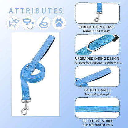 Reflective Dog Collar with Safety Locking Buckle, Adjustable Soft Breathable Nylon Collars for Small, Medium and Large Dogs(Collar+Leash XS Width 3/8" Sky Blue)
