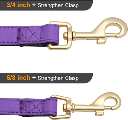 Didog 5FT Colorful Nylon Dog Leash with Soft Full-Length Padding, Lightweight and Durable Pet Leash for Medium and Large Dogs, Purple, M