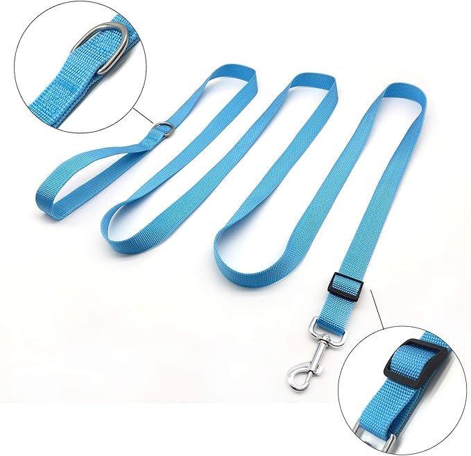 TAIAN Adjustable Nylon Dog Leash, 10 Foot Long Dog Leashes for Medium Large Dogs