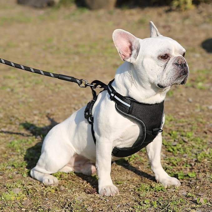 Amazon Basics No-Pull Dog Harness, Adjustable Soft Padded Vest with Reflective Stripes, Medium, Black