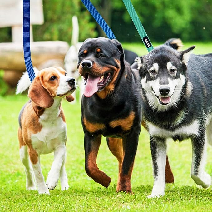 azuza 3 Pack Nylon Dog Leashes,Strong & Durable Basic Style Leash with Easy to Use Collar Hook,Available in Multiple Lengths for Medium Dogs, Royal Blue/Blue/Green
