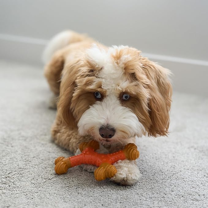 SPOT Bam-Bones Dental X-Bone - Made with Bamboo Fiber and a Massaging Rubber Center, Durable Oral Care Dog Chew for Light Chewers & Teething Puppies under 25lbs, 6in Allergen Free Peanut Butter Flavor