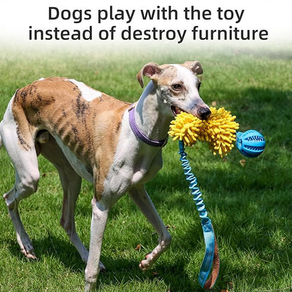 ETIAL Interactive Dog Tug of War Toy, Puppy Training Pull Toy with Bungee Rope for Exercise & Interactive Play Games, Dog Rope Toy for Small Medium Large Dogs Chase and Tug (Blue)