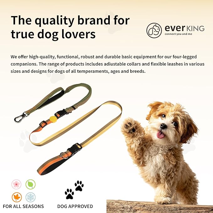 ‌EVERKING 6ft Hands-Free Dog Leash - 6-in-1 Adjustable with 360° Rotating Buckle, Night Reflective & Shock Absorbing for Large/Small Dogs (Up to 120lbs) (Golden)