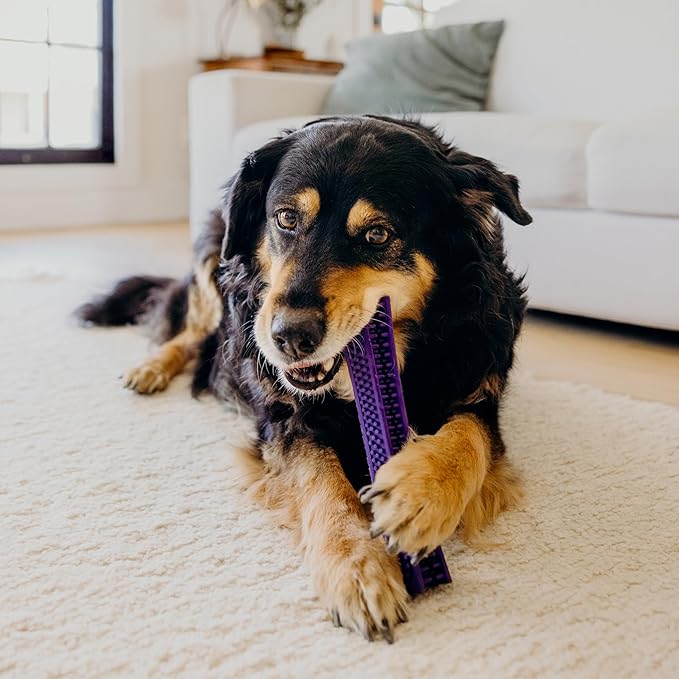 Playology Dog Toys | Dental Chew Stick Gentle on Gums | Jumbo Pork Sausage Scented Toy - Easy to Clean and Made from Non Toxic Materials