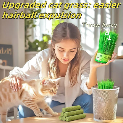 Cat Toys 17Pack 100g Catnip Grass Teething Stick for Hairball Removal Kitten Toy Freeze Dried Chew Dental Food for Indoor Kitty Lickable Edible Snack