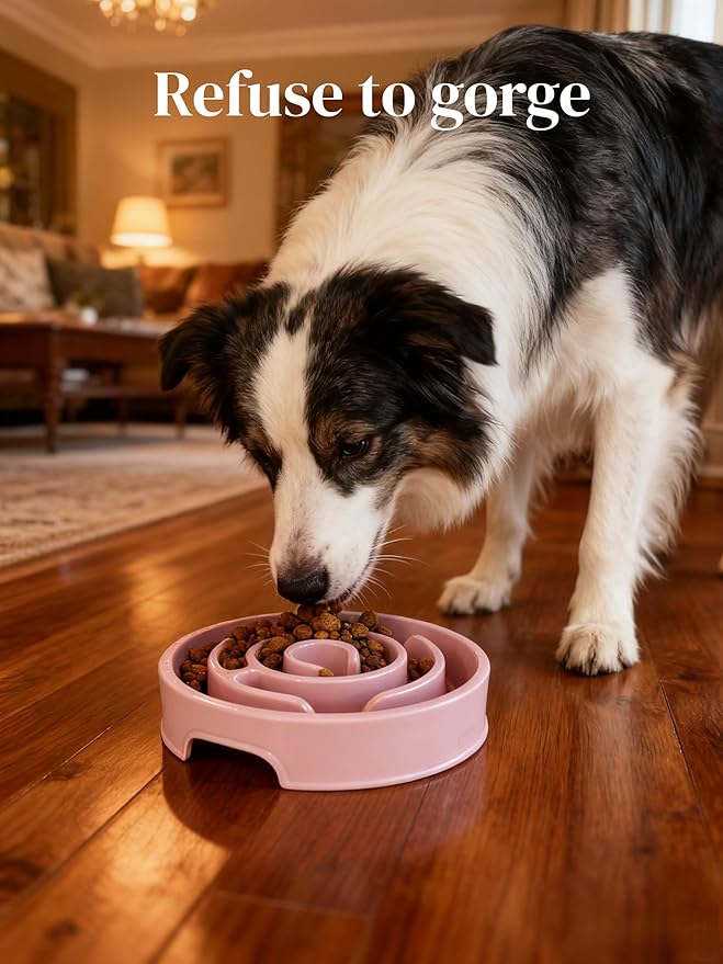 Pet Slow Feeder Bowl - Anti-Choking Maze Design, Universal for Dogs & Cats, Anti-Slip & Anti-Tip (Bowl-Pink)
