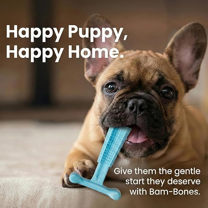 SPOT Bam-Bones Puppy T-Bone Dog Chew Toy, Chicken Flavor, 6 Inch, Bamboo Fiber & Flexible Rubber, Easy Grip Design for Gentle Chewers, Small Dogs & Puppies